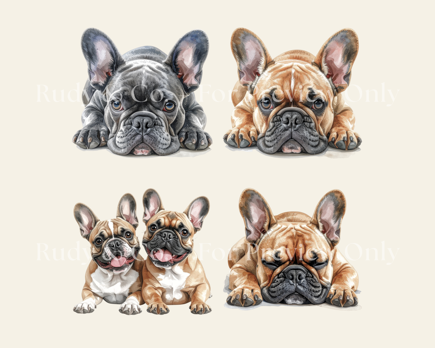 French Bulldog Clipart Set - 12 PNGS