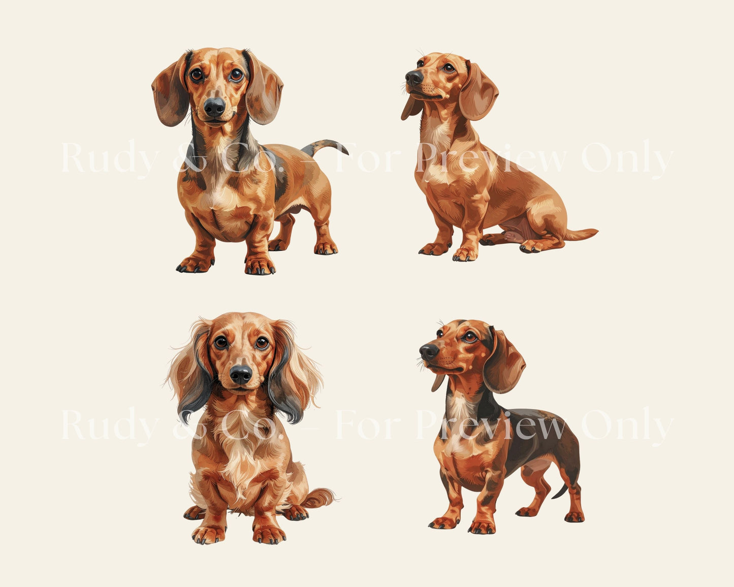 Dachshund Clipart Set