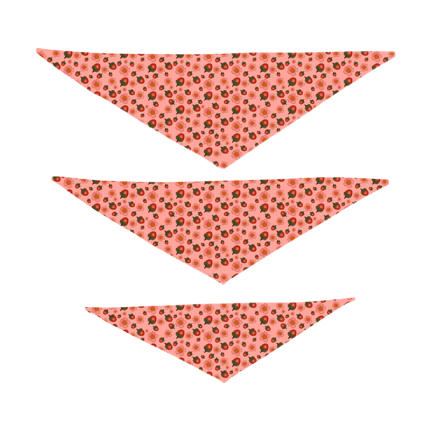 Rudy & Co. "Strawberry Bloom" Dog Bandana