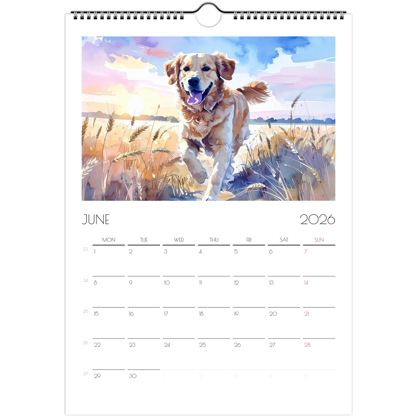 99ee1aab-3df6-473e-89ac-82d4399534b9