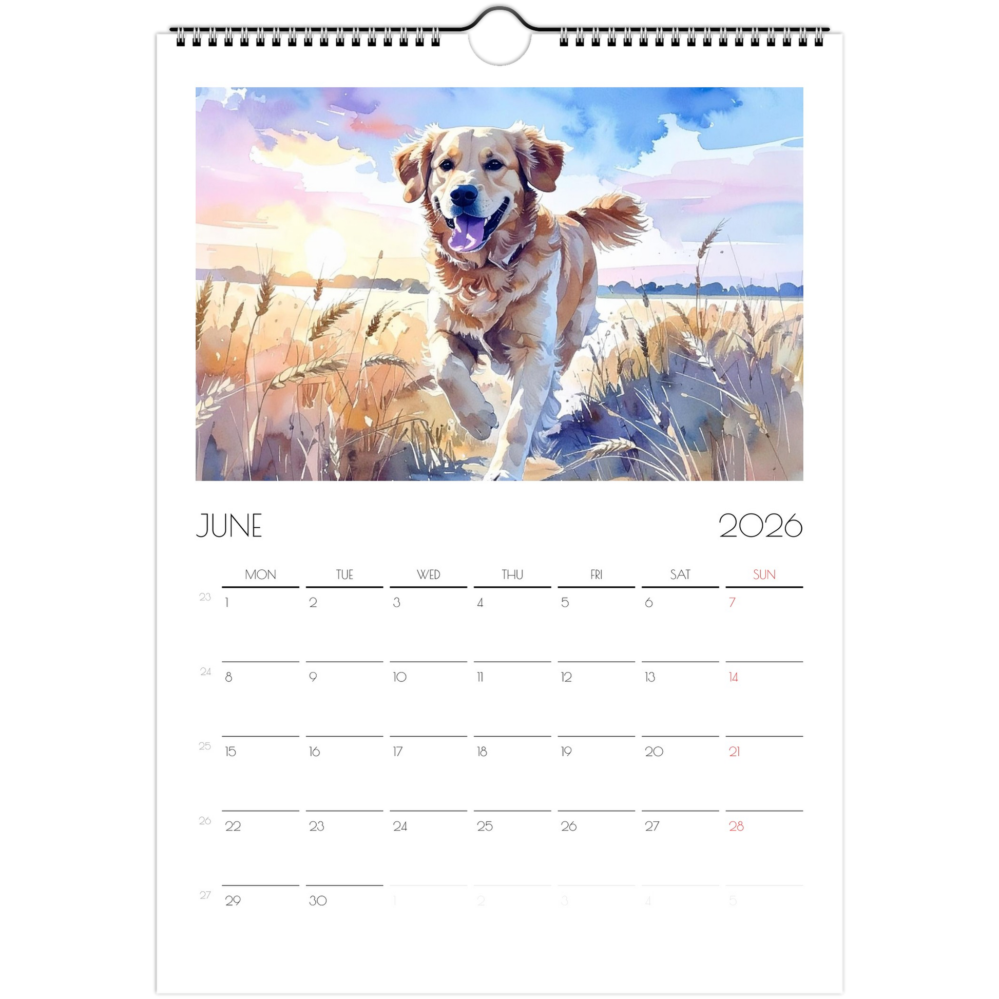 99ee1aab-3df6-473e-89ac-82d4399534b9