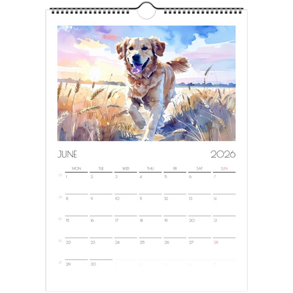 99ee1aab-3df6-473e-89ac-82d4399534b9