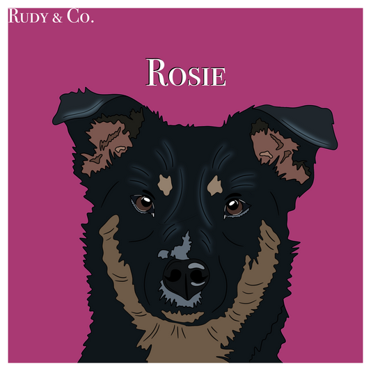 Personalised Digital Art Pet Portrait - Custom Square Artwork