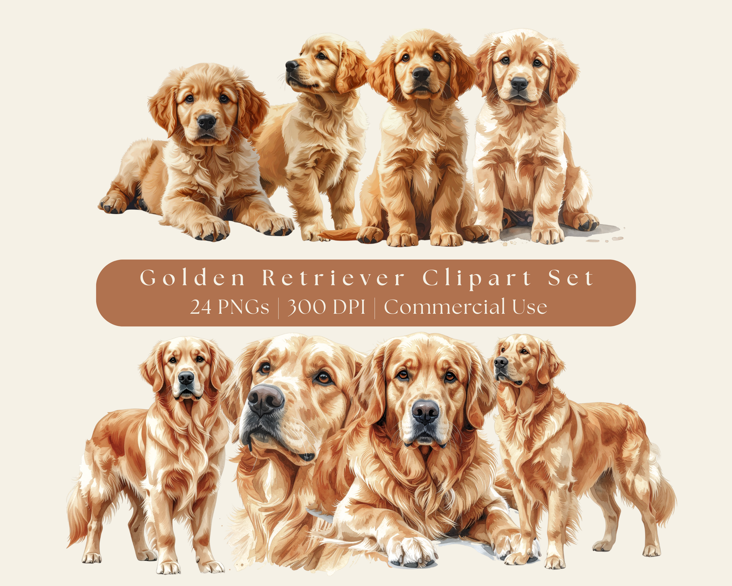 Golden Retriever Clip Art - 24 PNGs