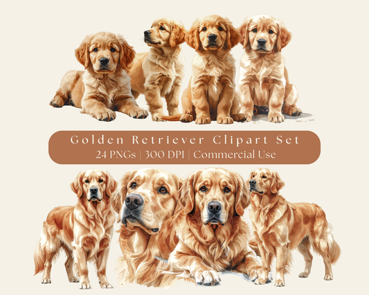 Golden Retriever Clip Art - 24 PNGs