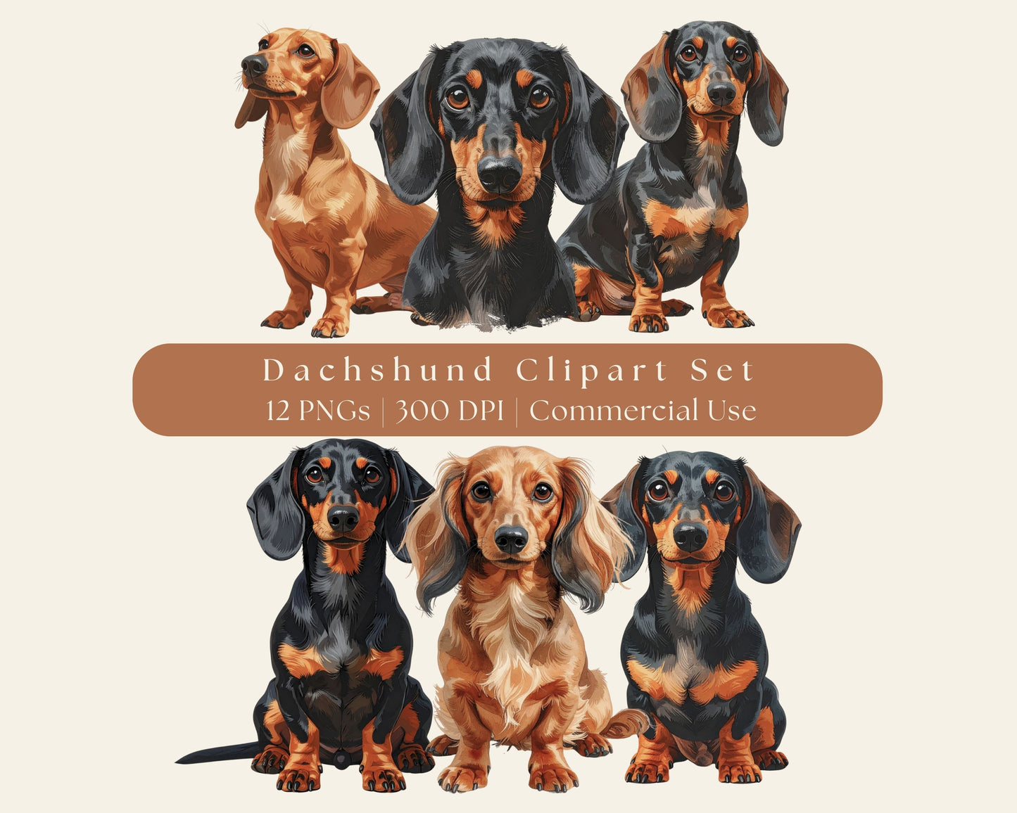 Dachshund Clipart Set