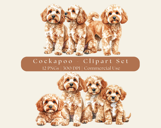 Cockapoo Clipart Set - 12 PNGS