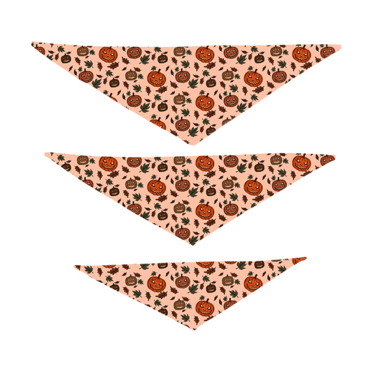 Rudy & Co. "Pumpkin Patch" Dog Bandana