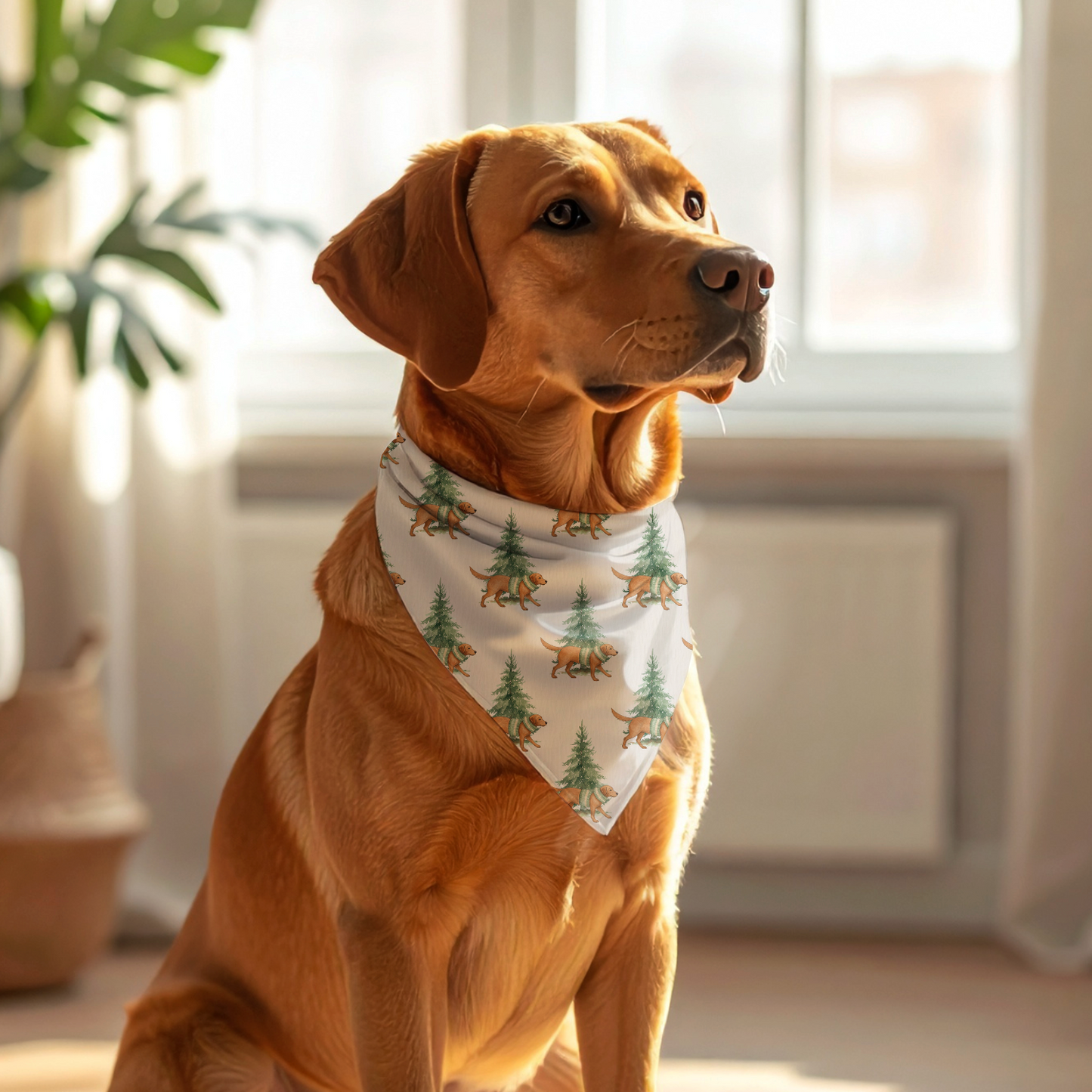 Forest Walks - Bandana