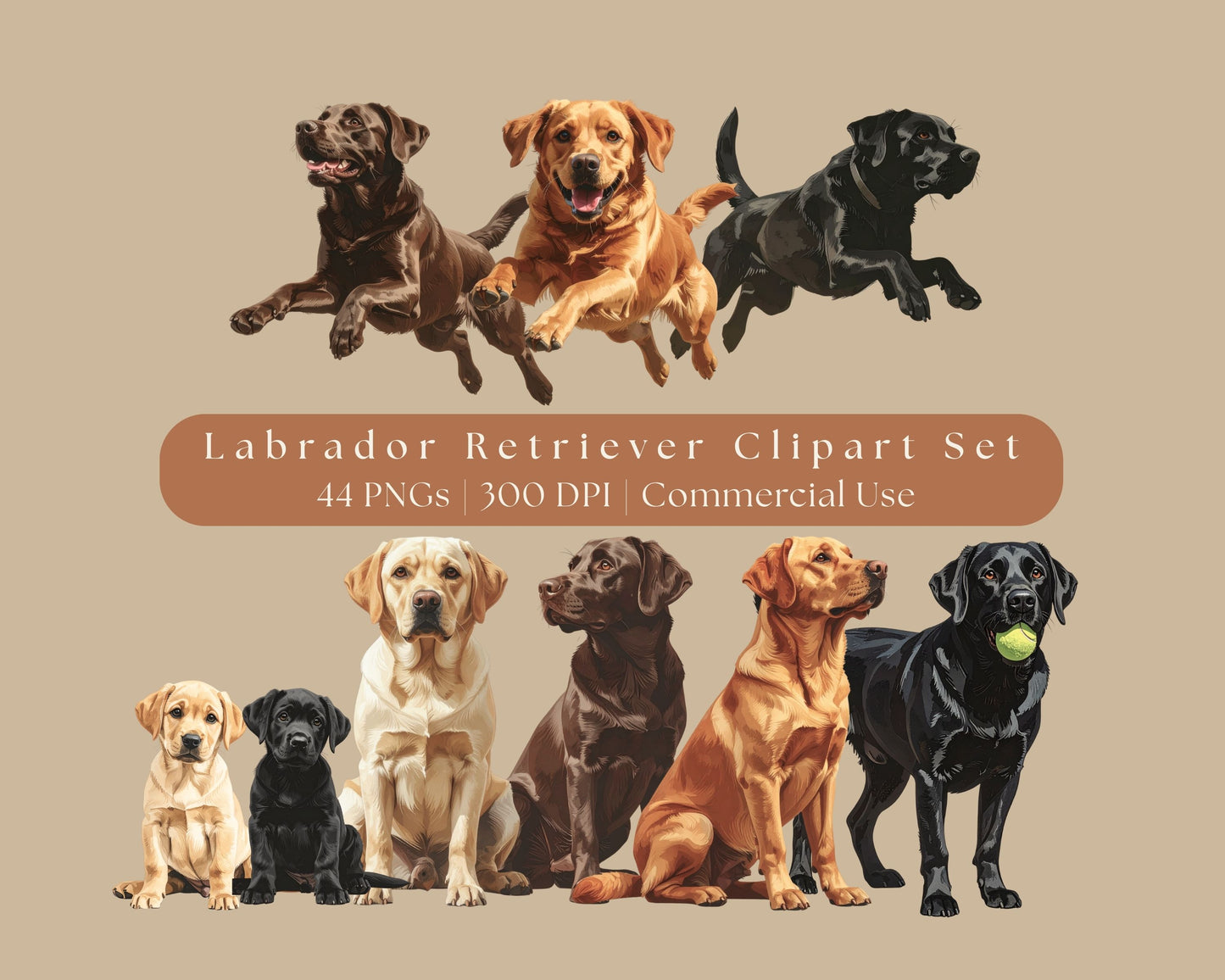 Labrador Clip Art Set