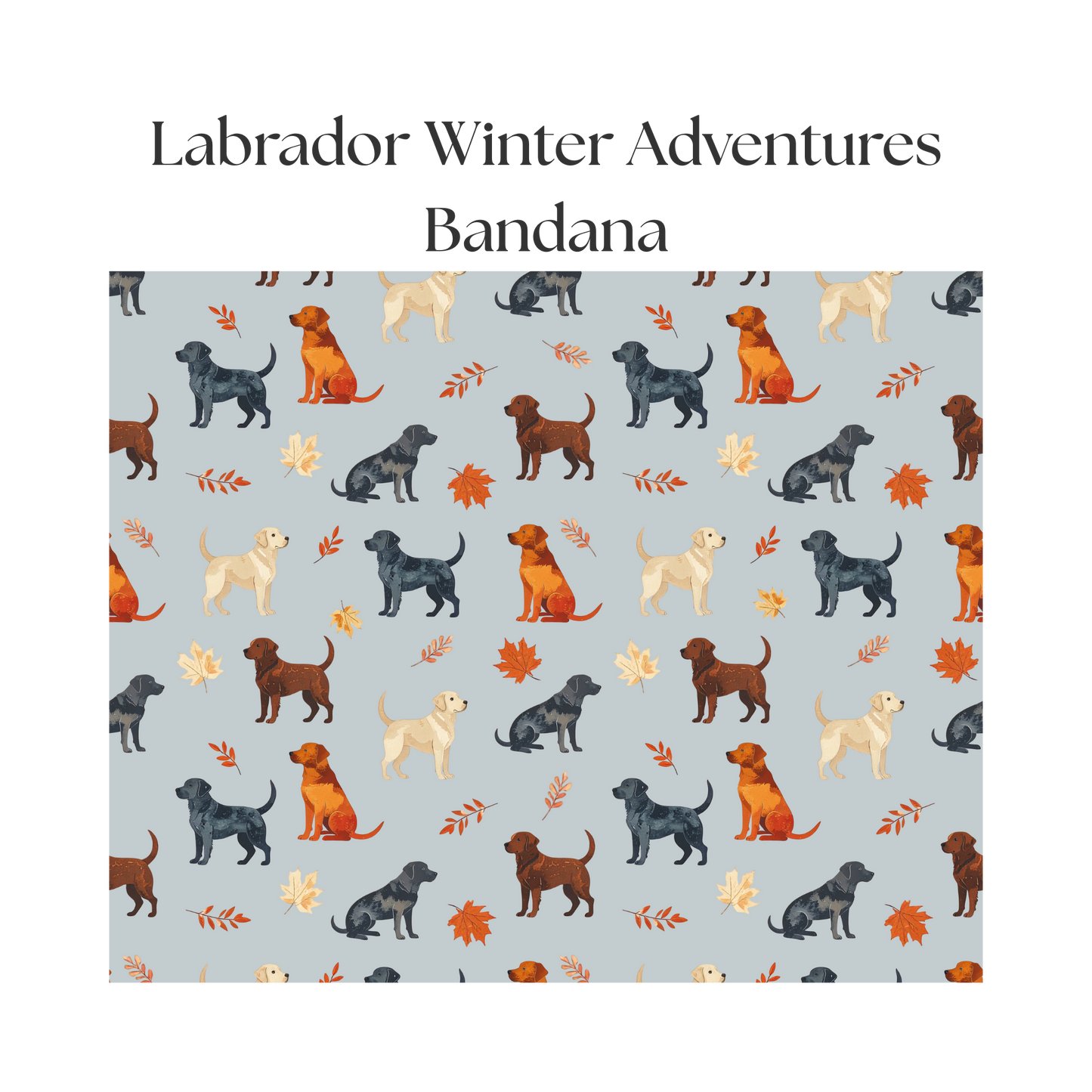 Labrador Winter Adventures - Bandana