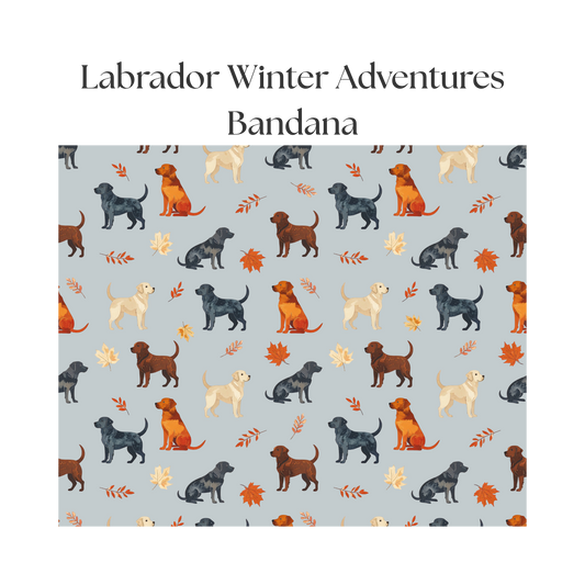Labrador Winter Adventures - Bandana