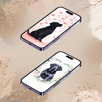 Labrador Valentine Phone Wallpapers – Dog iPhone Backgrounds – Labrador Digital Download (2 Pack)