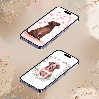 Labrador Valentine Phone Wallpapers – Dog iPhone Backgrounds – Labrador Digital Download (2 Pack)