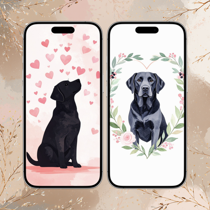 Labrador Valentine Phone Wallpapers – Dog iPhone Backgrounds – Labrador Digital Download (2 Pack)