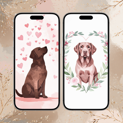 Labrador Valentine Phone Wallpapers – Dog iPhone Backgrounds – Labrador Digital Download (2 Pack)
