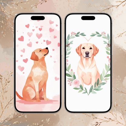 Labrador Valentine Phone Wallpapers – Dog iPhone Backgrounds – Labrador Digital Download (2 Pack)
