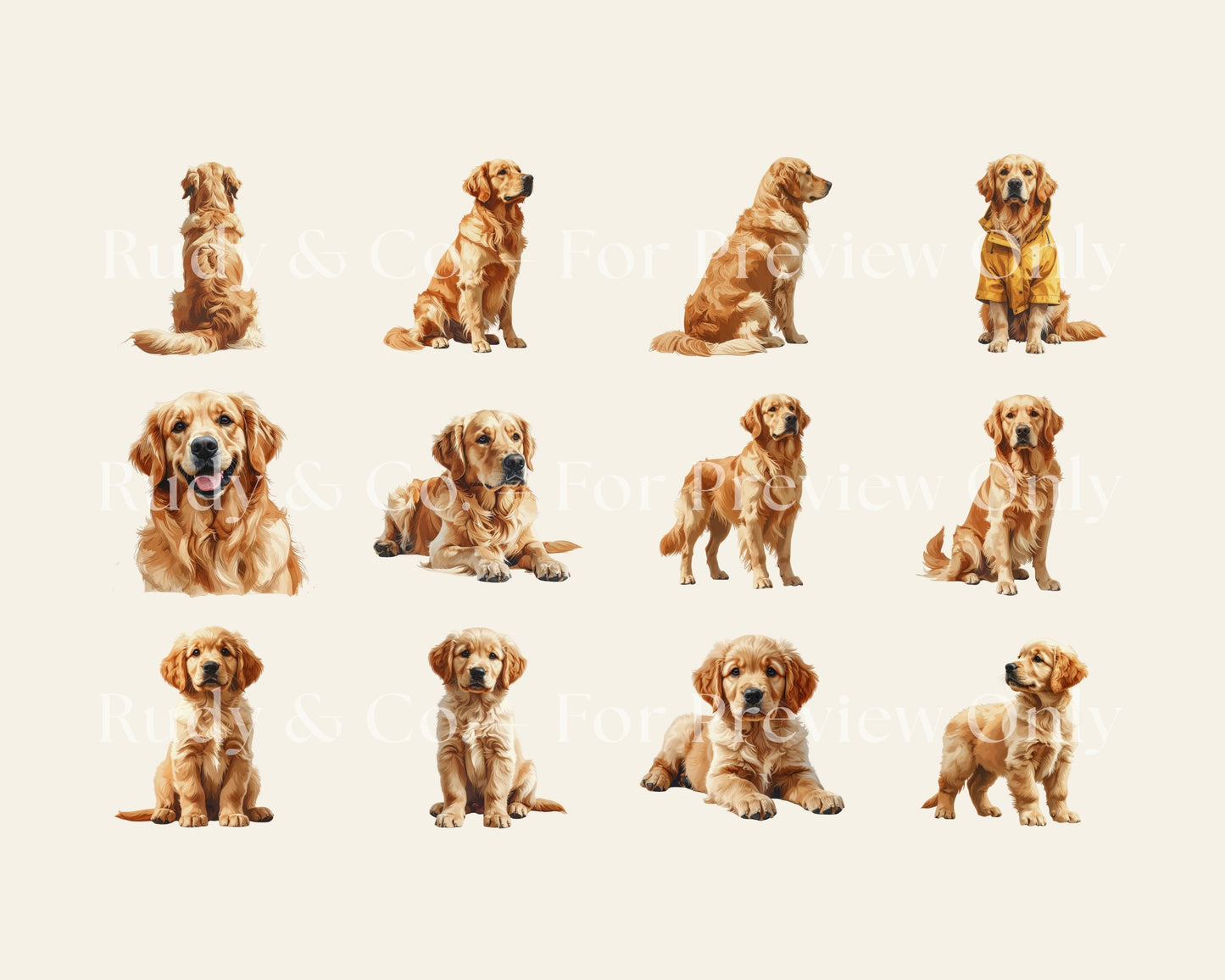 Golden Retriever Clipart Set