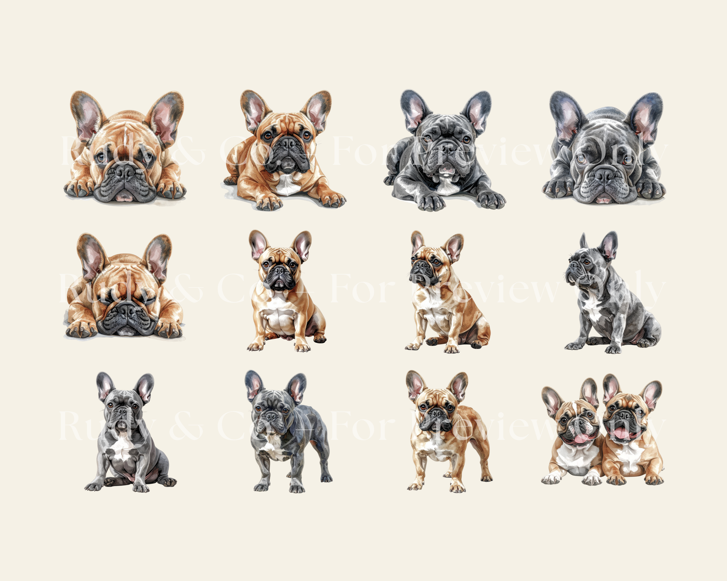 French Bulldog Clipart Set - 12 PNGS