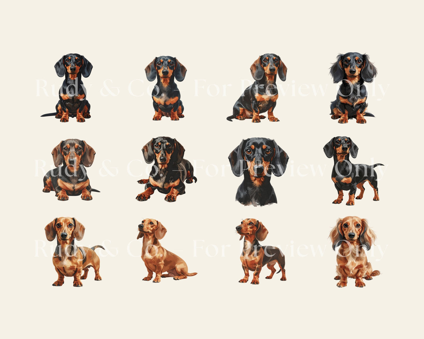 Dachshund Clipart Set