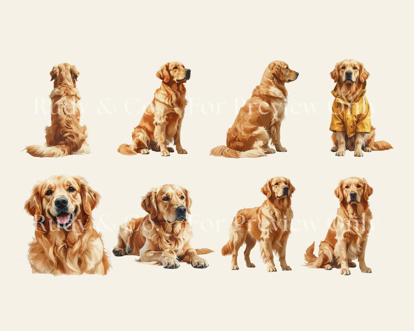Golden Retriever Clipart Set