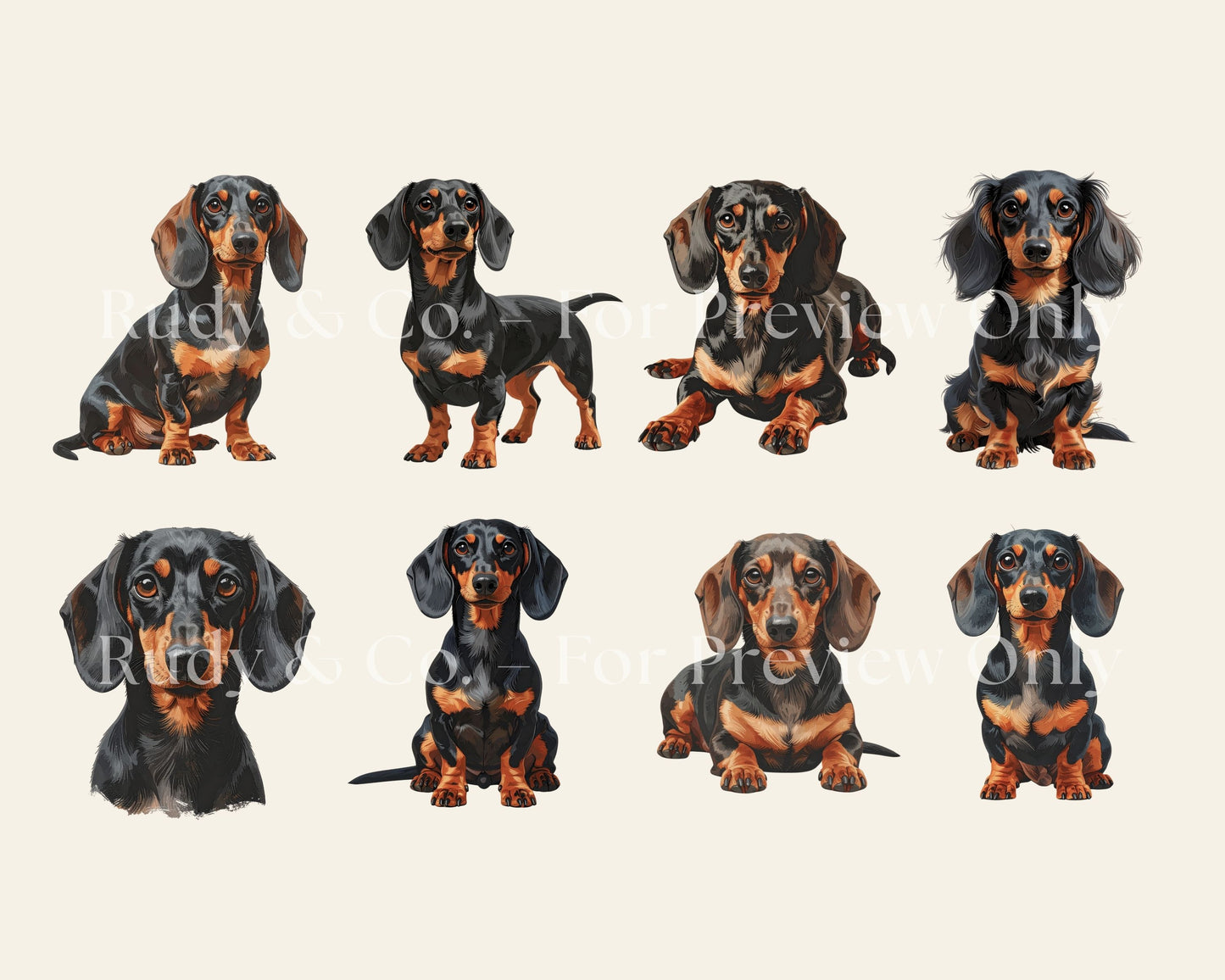 Dachshund Clipart Set