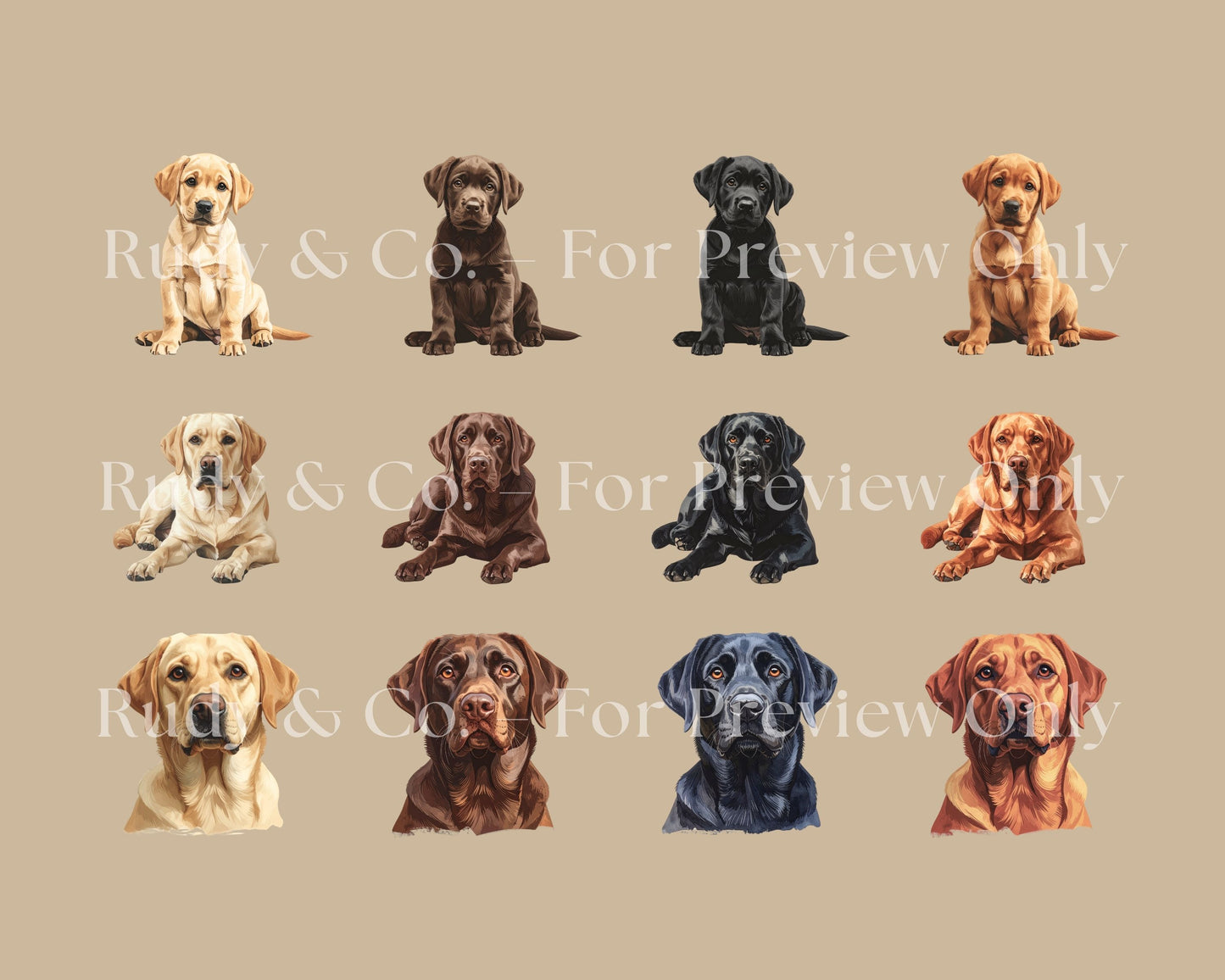 Labrador Clip Art Set