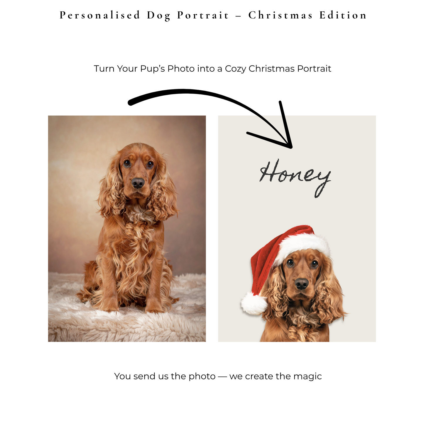 Personalised Dog Portrait – Christmas Edition