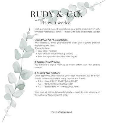 Personalised Watercolour Pet Portrait from Photo