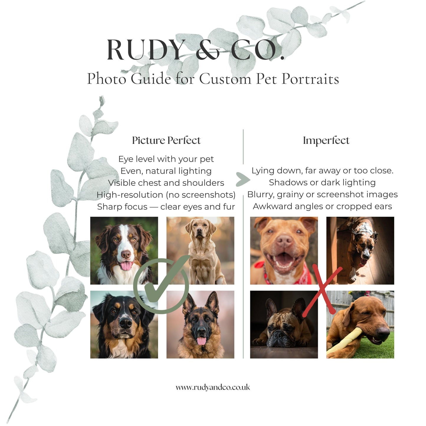 Personalised Watercolour Pet Portrait from Photo | Custom Dog Art | Dog Lover Gift | Pet Memorial Print | Rudy & Co.