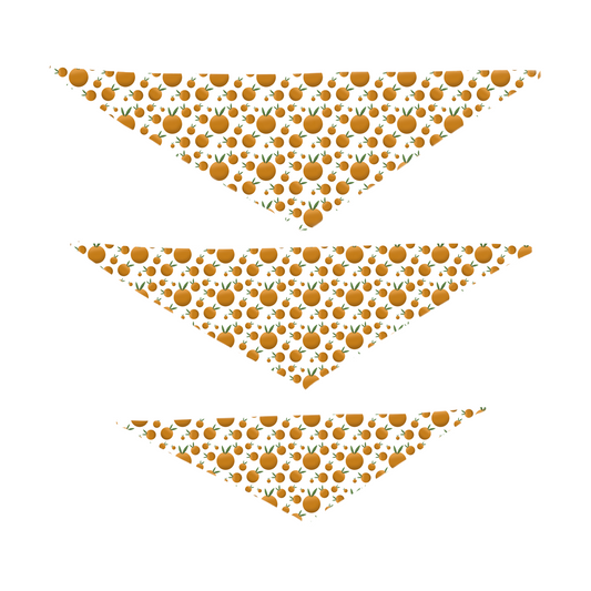 Rudy & Co. "Sweet Orange" Dog Bandana